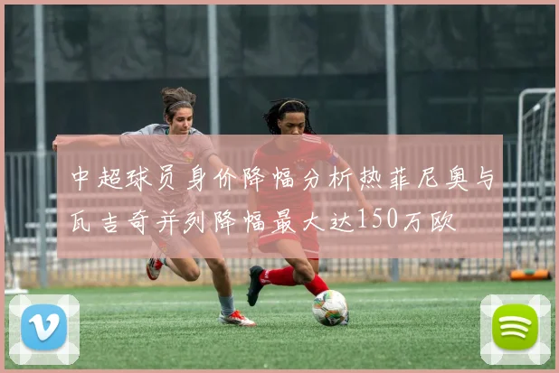 中超球员身价降幅分析热菲尼奥与瓦吉奇并列降幅最大达150万欧